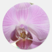 roze orchidee ronde sticker (Voorkant)