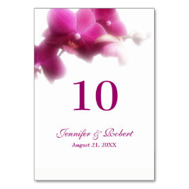 Roze Orchidee Tafelnummer