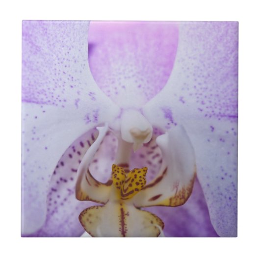 Roze Orchidee Tegeltje (Voorkant)