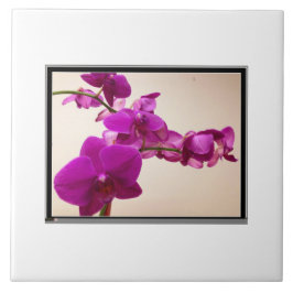 Roze orchidee tegeltje