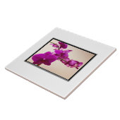 Roze orchidee tegeltje (Zijkant)