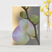 Roze Orchidee Uitdrukking Card Kaart (Gele Bloem)