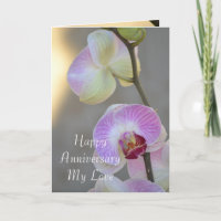 Roze Orchidee Uitdrukking Jubileum Kaart