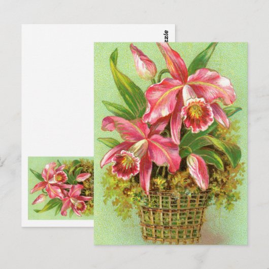 Roze orchidee ventilator briefkaart (Voorkant / Achterkant)