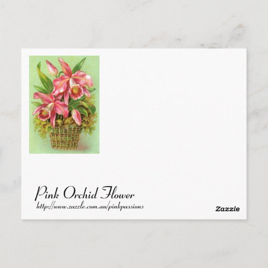 Roze orchidee ventilator briefkaart (Achterkant)