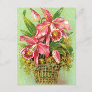 Roze orchidee ventilator briefkaart