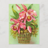 Roze orchidee ventilator briefkaart (Voorkant)