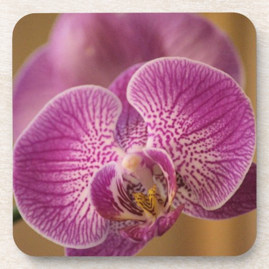 Roze orchidee ventilator drankjes onderzetter (Voorkant)