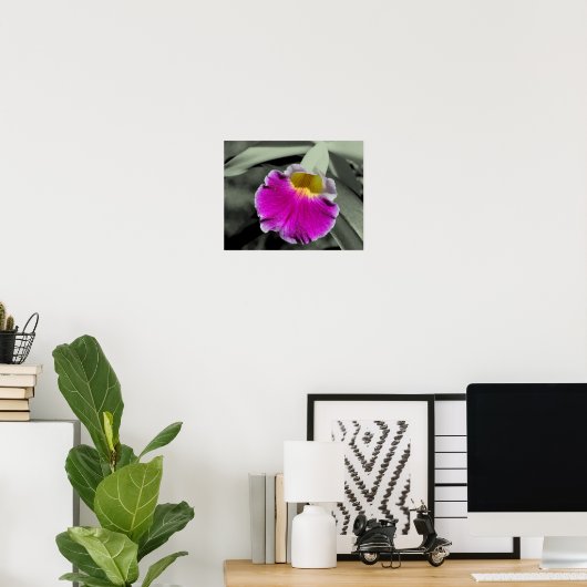 Roze orchidee ventilator gedeeltelijke kleur poster (Thuiskantoor)