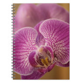 Roze orchidee ventilator notitieboek (Voorkant)