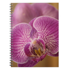 Roze orchidee ventilator notitieboek