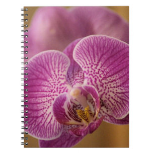 Roze orchidee ventilator notitieboek