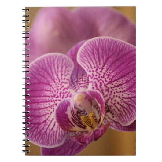 Roze orchidee ventilator notitieboek (Voorkant)