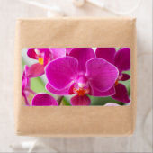 Roze orchidee ventilator - Sjabloon van Floral Orc Etiket (Insitu)