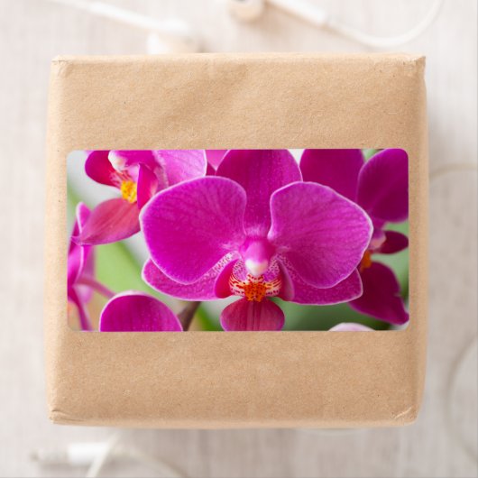 Roze orchidee ventilator - Sjabloon van Floral Orc Etiket (Insitu)