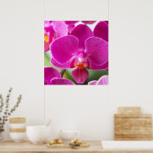 Roze orchidee ventilator - Sjabloon van Floral Orc Poster (Keuken)
