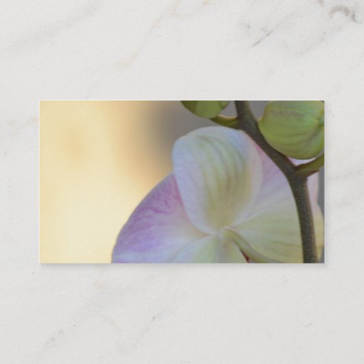 Roze orchidee ventilator visitekaartje (Achterkant)
