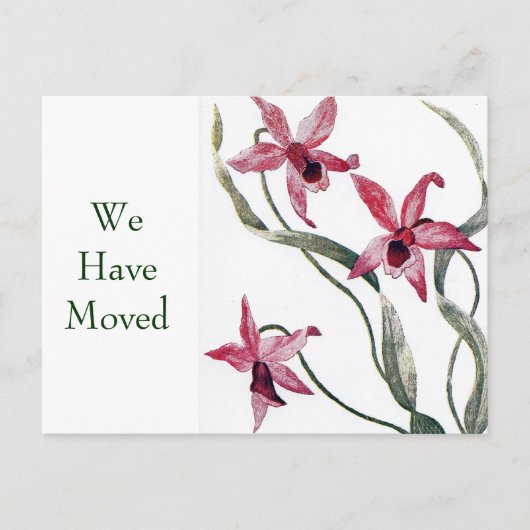 Roze Orchidee Verandering van Adres Briefkaart (Voorkant)