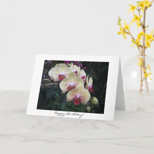 Roze Orchidee Verjaardag Kaart (Gele Bloem)