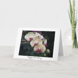 Roze Orchidee Verjaardag Kaart