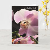Roze Orchidee Verjaardagskaart Kaart (Gele Bloem)