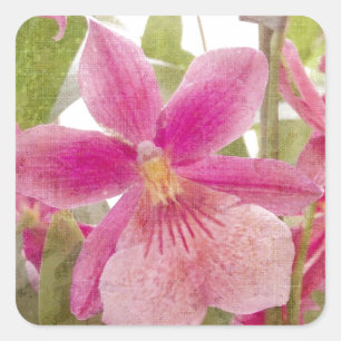Roze Orchidee Vierkante Sticker