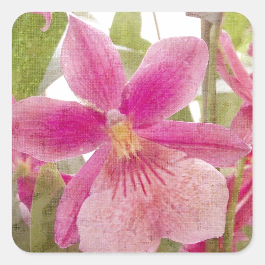 Roze Orchidee Vierkante Sticker (Voorkant)