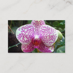 Roze orchidee Visitekaartjes