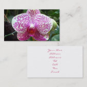 Roze orchidee Visitekaartjes (Voorkant / Achterkant)