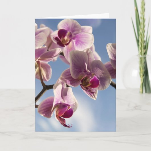Roze orchidee wenskaart kaart (Voorkant)
