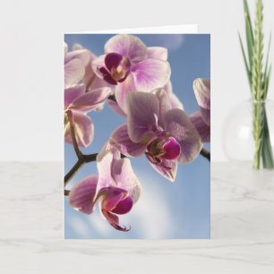 Roze orchidee wenskaart kaart