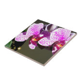 Roze orchideeën 1 tegeltje (Zijkant)