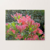 Roze Orchideeën bloeiende esthetische Foto - Legpuzzel (Horizontaal)