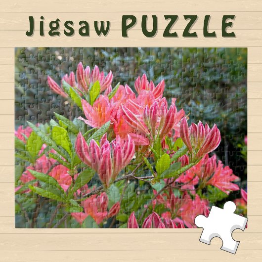 Roze Orchideeën bloeiende esthetische Foto - Legpuzzel