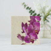 Roze Orchideeën Bloemen Verjaardag Kaart (Staand voorkant)