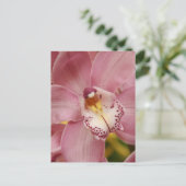 Roze orchideeën Briefkaart (Staand voorkant)