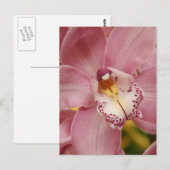 Roze orchideeën Briefkaart (Voorkant / Achterkant)