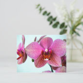 Roze orchideeën briefkaart (Staand voorkant)