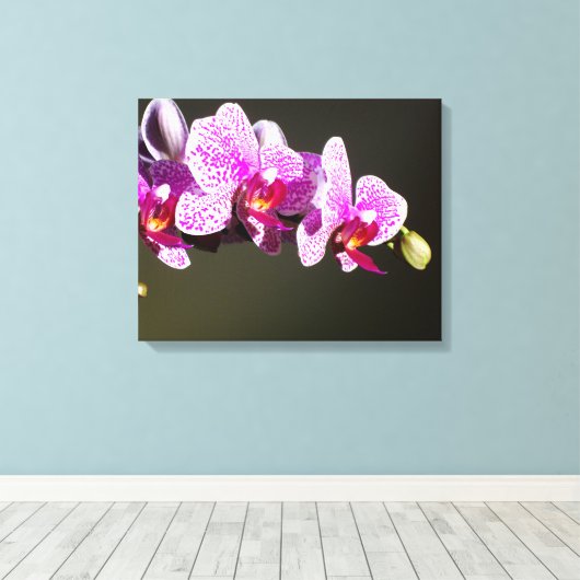 Roze orchideeën canvas afdruk (Insitu (Houten vloer))