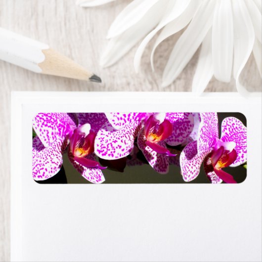 Roze orchideeën etiket (Insitu)