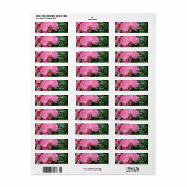 Roze orchideeën etiket (Full Sheet)