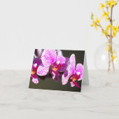 Roze orchideeën kaart (Gele Bloem)