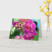 Roze orchideeën kaart (Gele Bloem)