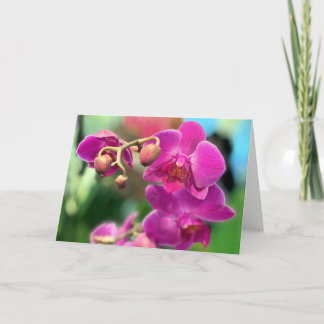 Roze orchideeën  kaart