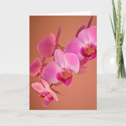 Roze orchideeën-kaart kaart (Voorkant)
