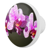 Roze orchideeën keramische knop (Rechts)