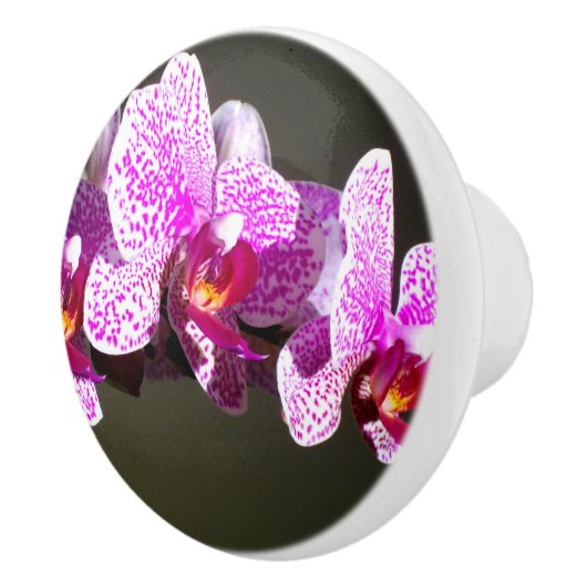 Roze orchideeën keramische knop (Rechts)