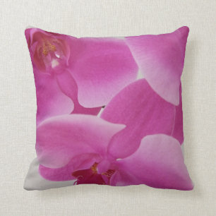 Roze orchideeën kussen