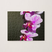 Roze orchideeën legpuzzel (Horizontaal)