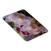 Roze orchideeën Magnet Magneet (Rechterzijde)